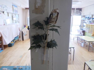 やいかがし（ヒイラギの葉とイワシの頭）の写真