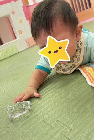 氷を触っている様子