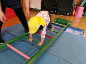 はしごを使った運動遊び