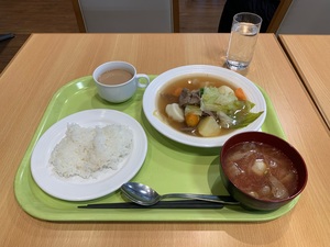 モンゴル風ボーズ入りポトフ