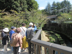 石神井川コースの様子