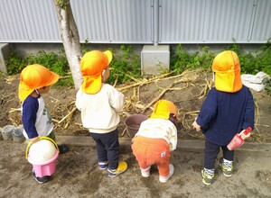 畑で虫探しを行っている様子