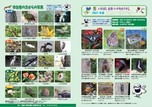 ニュースレター