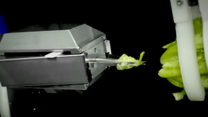 写真：CUTR(カトル)