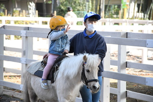 動物園　ポニー引馬体験の様子