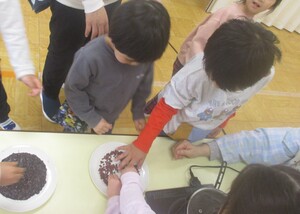 小豆を触る子ども