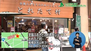 全国ふるさとふれあいショップとれたて村外観