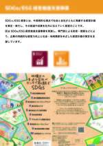 SDGs未来都市13