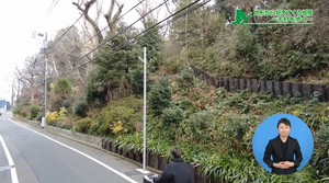 小豆沢公園の崖線