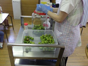 梅をお酒で消毒し、瓶に塩と一緒に漬けています