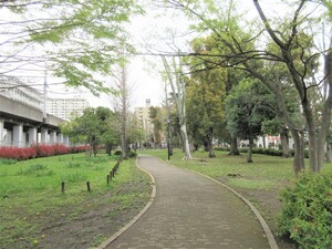 高島平緑地の様子（高島平九丁目）