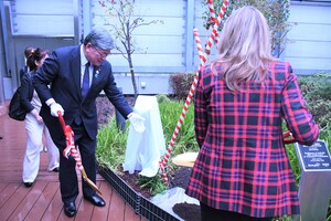 写真：土かけ・水かけ