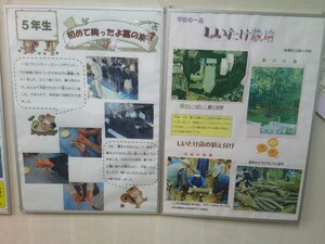 写真：校長室に掲示された体験活動のパネル