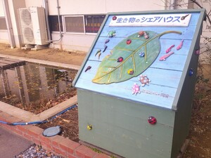 写真：地域の人々により作られたビオトープ