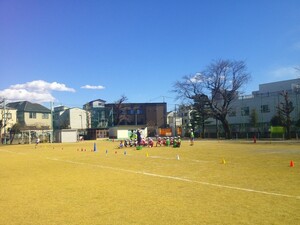 写真：美しい天然芝の校庭