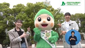 いたちょこブック3