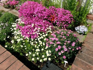 写真：ボランティアによって手入れされた花壇