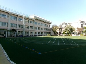 写真：人工芝の校庭