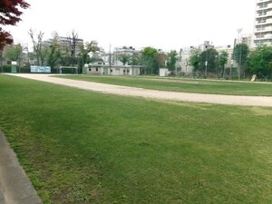 写真：天然芝の校庭