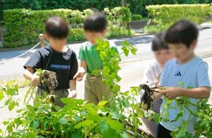 5月17日の様子