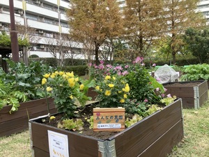 クラフトワークショップ