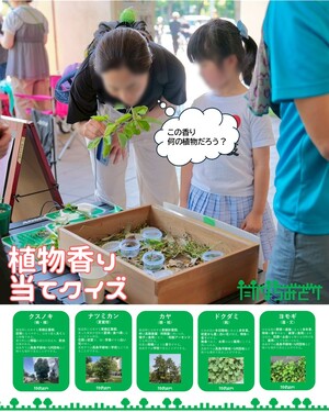 植物香り当てクイズ