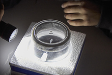 ワークショップ　きりばこ