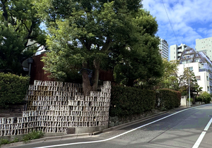 仏蘭西舎すいぎょくの建物と外構　その周辺の緑　の写真