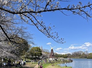 浮間公園の風車の写真