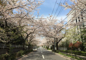 新河岸二丁目工業地域まちづくり協議会の写真