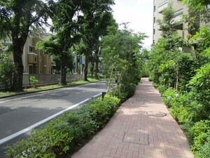 向原第二住宅団地マンション建替組合の写真