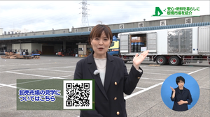 見学できます
